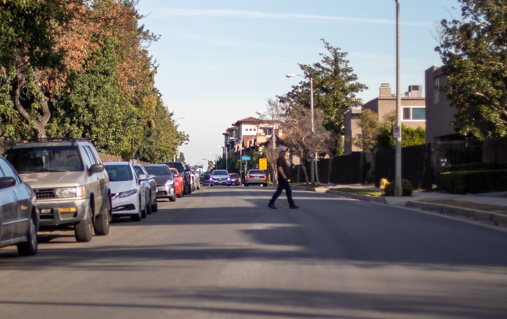 Lansing, MI - Teenager Killed in Pedestrian Accident