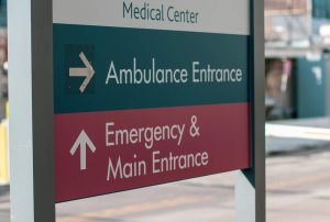 Lowell, MI - Woman Dies, Four Hospitalized in Head-on Crash on Alden Nash